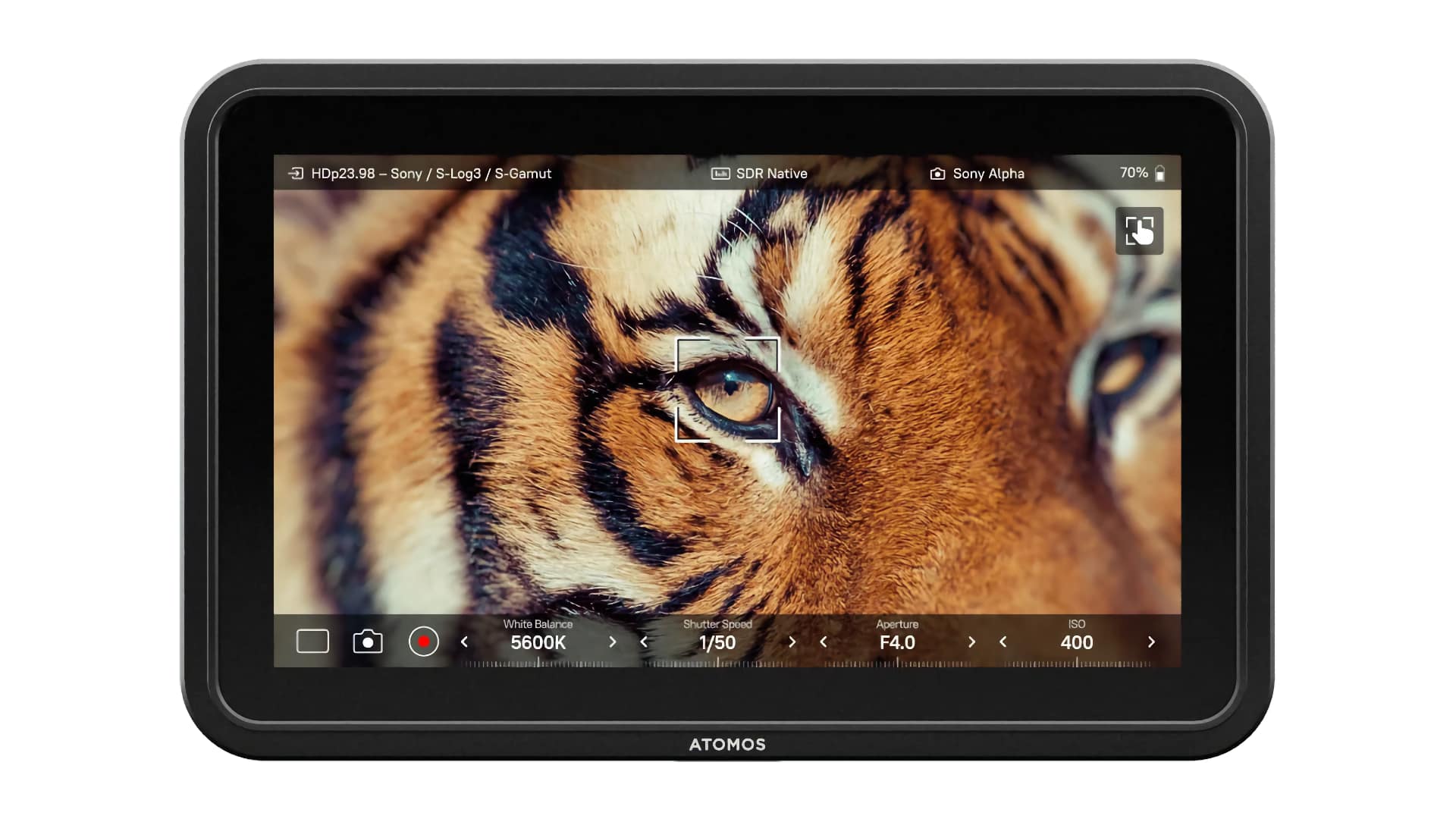 Atomos Shinobi 7 II: specs, price and release date